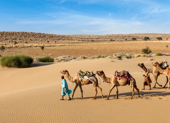 Les 10 Palais Incontournables du Rajasthan Une Exploration Royale