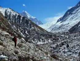 Gangotri • Chirbasa (Trek)